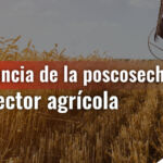 Importancia de la poscosecha en el sector agrícola
