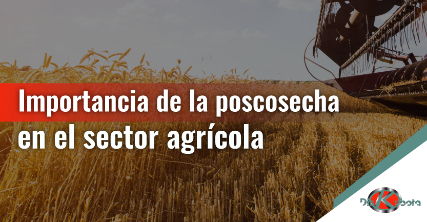 En este momento estás viendo Importancia de la poscosecha en el sector agrícola